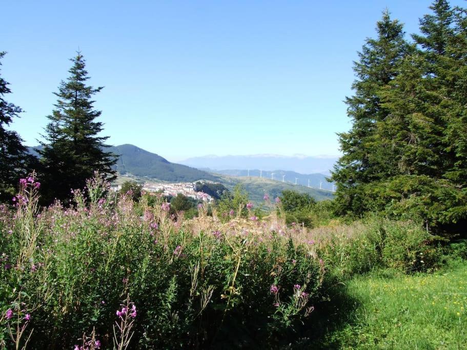 Casarosaria Italie Molise Pietrabbondante Villa Buitenkant foto